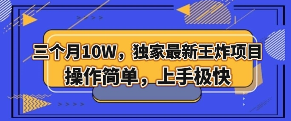 三个月10W，独家最新王炸项目！操作简单，上手极快【揭秘】-创业资源库
