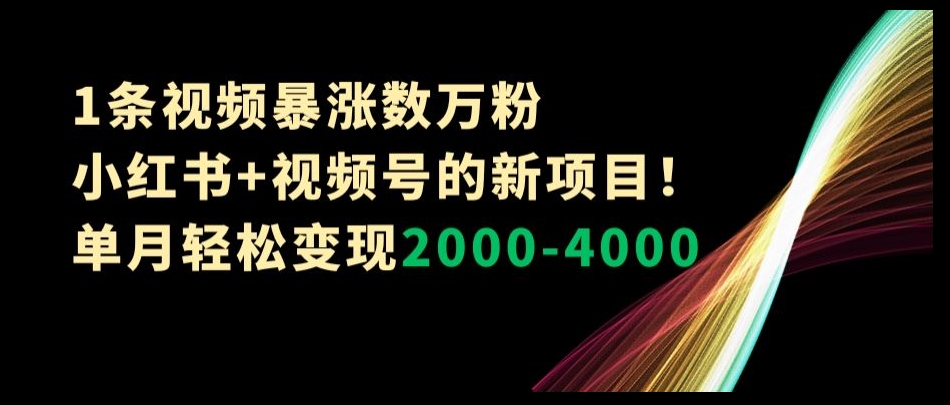 1条视频暴涨数万粉–小红书+视频号的新项目！单月轻松变现2000-4000【揭秘】-创业资源库