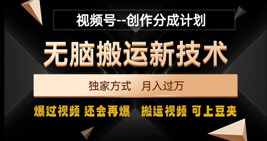 视频号无脑搬运新技术，破原创壕流量，独家方式，爆过视频，还会再爆【揭秘】-创业资源库