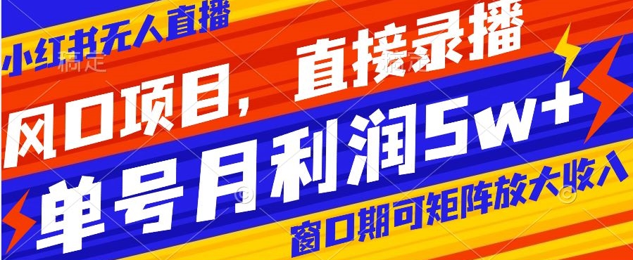 风口项目，小红书无人直播带货，直接录播，可矩阵，月入5w+【揭秘】-创业资源库