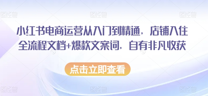 小红书电商运营从入门到精通，店铺入住全流程文档+爆款文案词，自有非凡收获-创业资源库