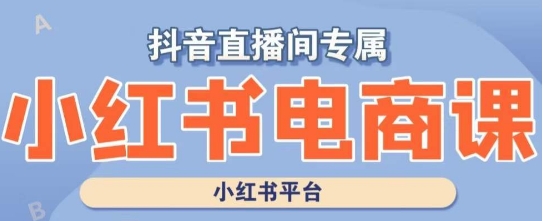 小红书电商高级运营课程，实操教学+案例分析-创业资源库