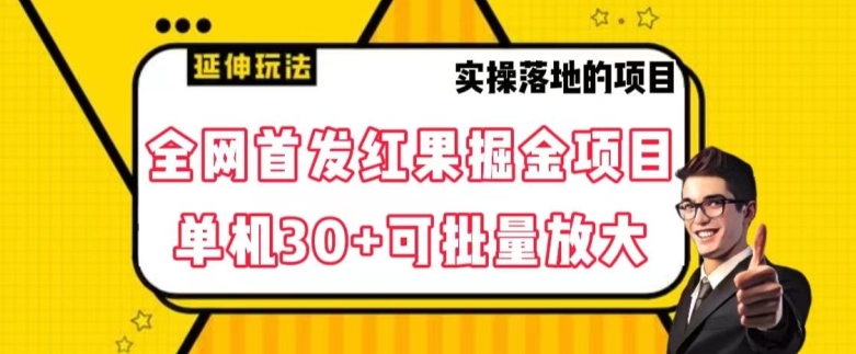 全网首发红果免费短剧掘金项目，单机30+可批量放大【揭秘】-创业资源库