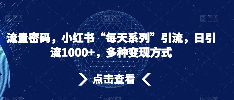 流量密码，小红书“每天系列”引流，日引流1000+，多种变现方式【揭秘】-创业资源库