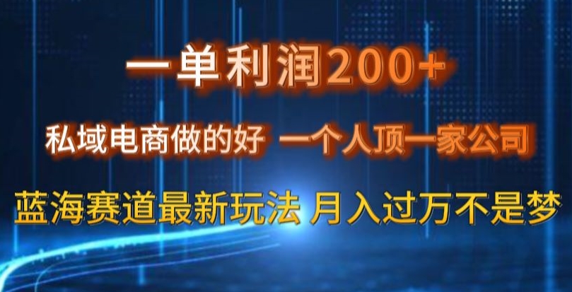 一单利润200私域电商做的好，一个人顶一家公司蓝海赛道最新玩法【揭秘】-创业资源库