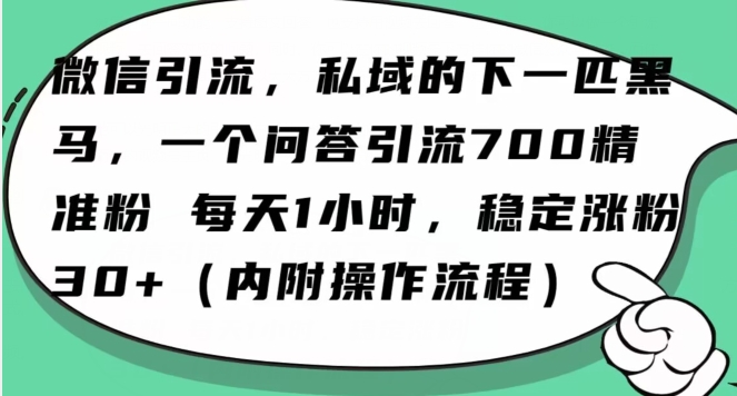 怎么搞精准创业粉？微信新赛道，每天一小时，利用Ai一个问答日引100精准粉-创业资源库