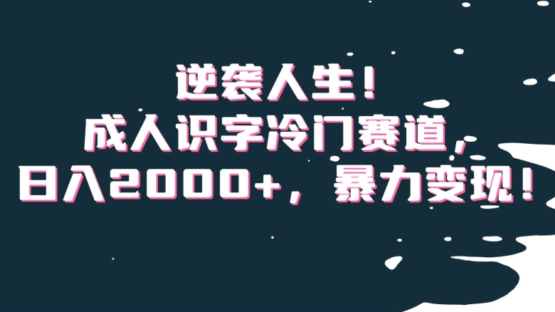 逆袭人生！成人识字冷门赛道，日入2000+，暴力变现！【揭秘】-创业资源库