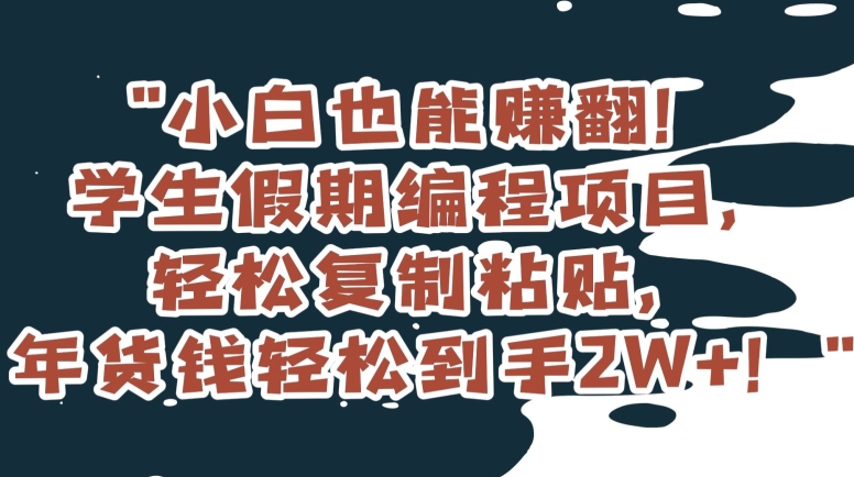 小白也能赚翻！学生假期编程项目，轻松复制粘贴，年货钱轻松到手2W+【揭秘】-创业资源库