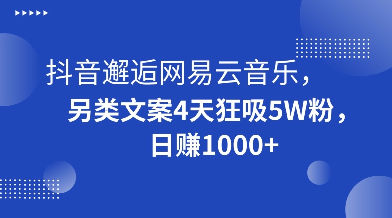 抖音邂逅网易云音乐，另类文案4天狂吸5W粉，日赚1000+【揭秘】-创业资源库