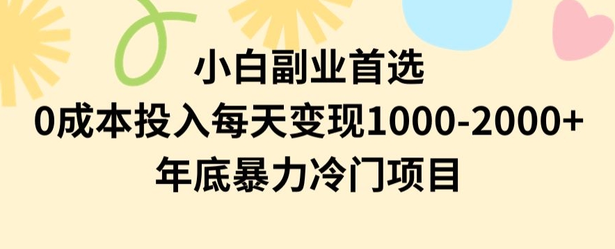 小白副业首选，0成本投入，每天变现1000-2000年底暴力冷门项目【揭秘】-创业资源库