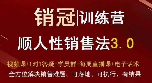 爆款！销冠训练营3.0之顺人性销售法，全方位解决销售难题、可落地、可执行、有结果-创业资源库