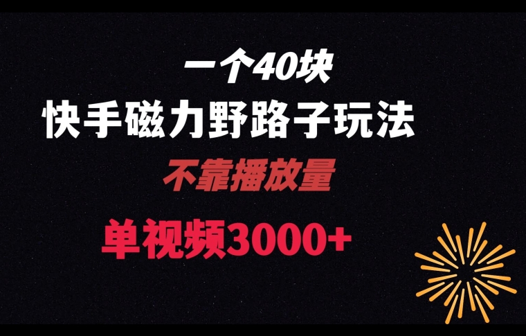 一个40块，快手联合美团磁力新玩法，无视机制野路子玩法，单视频收益4位数【揭秘】-创业资源库