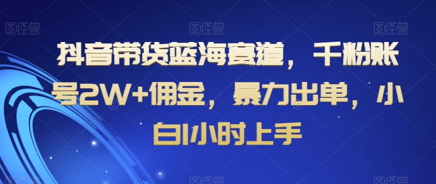 抖音带货蓝海赛道，千粉账号2W+佣金，暴力出单，小白1小时上手【揭秘】-创业资源库