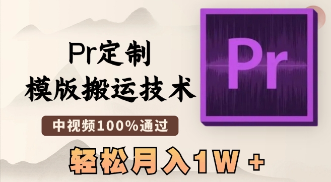 最新Pr定制模版搬运技术，中视频100%通过，几分钟一条视频，轻松月入1W＋【揭秘】-创业资源库