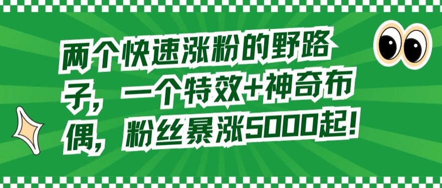 两个快速涨粉的野路子，一个特效+神奇布偶，粉丝暴涨5000起【揭秘】-创业资源库
