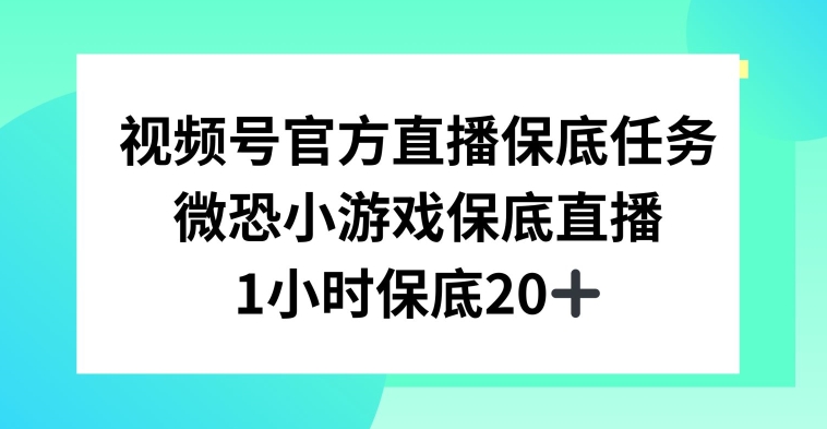 视频号直播任务，微恐小游戏，1小时20+【揭秘】-创业资源库