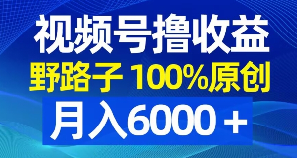 视频号野路子撸收益，100%原创，条条爆款，月入6000＋【揭秘】-创业资源库