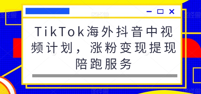 TikTok海外抖音中视频计划，涨粉变现提现陪跑服务-创业资源库