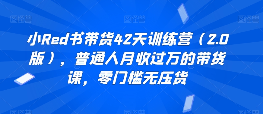 小Red书带货42天训练营（2.0版），普通人月收过万的带货课，零门槛无压货-创业资源库