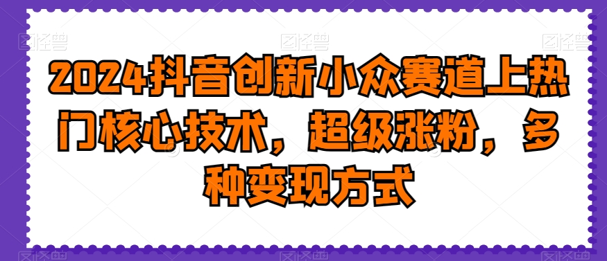 2024抖音创新小众赛道上热门核心技术，超级涨粉，多种变现方式【揭秘】-创业资源库
