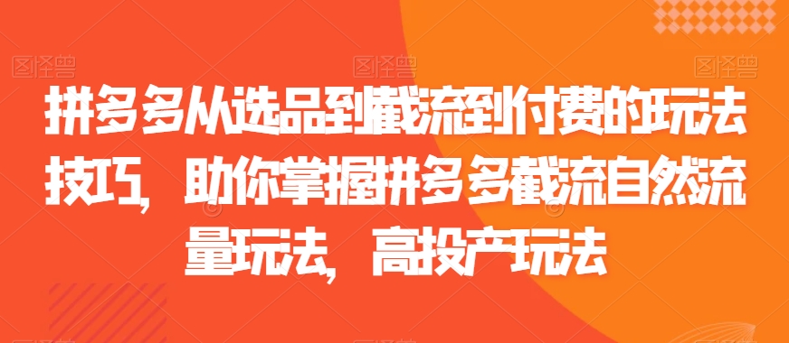 拼多多从选品到截流到付费的玩法技巧，助你掌握拼多多截流自然流量玩法，高投产玩法-创业资源库