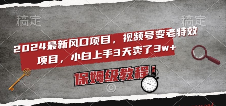 2024最新风口项目，视频号变老特效项目，电脑小白上手3天卖了3w+，保姆级教程【揭秘】-创业资源库
