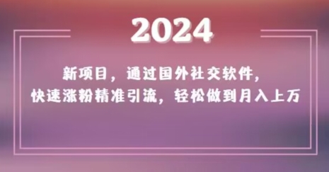 2024新项目，通过国外社交软件，快速涨粉精准引流，轻松做到月入上万【揭秘】-创业资源库