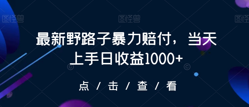 最新野路子暴力赔付，当天上手日收益1000+【仅揭秘】-创业资源库
