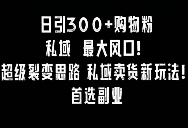 日引300+购物粉，超级裂变思路，私域卖货新玩法，小红书首选副业【揭秘】-创业资源库