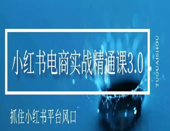 小红书电商实战精通课3.0，抓住小红书平台的风口，不错过有一个赚钱的机会-创业资源库
