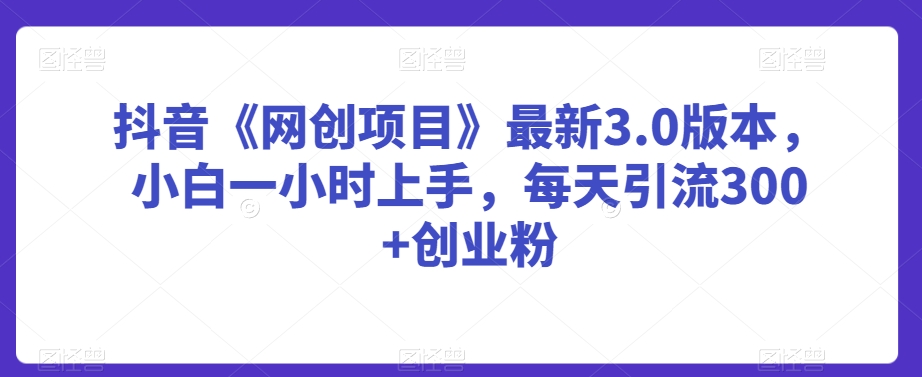 抖音《网创项目》最新3.0版本，小白一小时上手，每天引流300+创业粉【揭秘】-创业资源库
