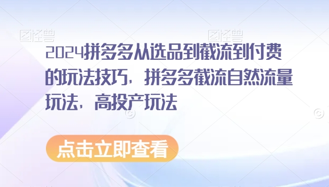 2024拼多多从选品到截流到付费的玩法技巧，拼多多截流自然流量玩法，高投产玩法-创业资源库