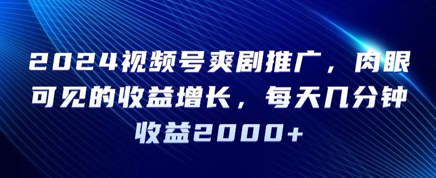 2024视频号爽剧推广，肉眼可见的收益增长，每天几分钟收益2000+【揭秘】-创业资源库