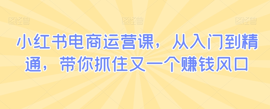 小红书电商运营课，从入门到精通，带你抓住又一个赚钱风口-创业资源库