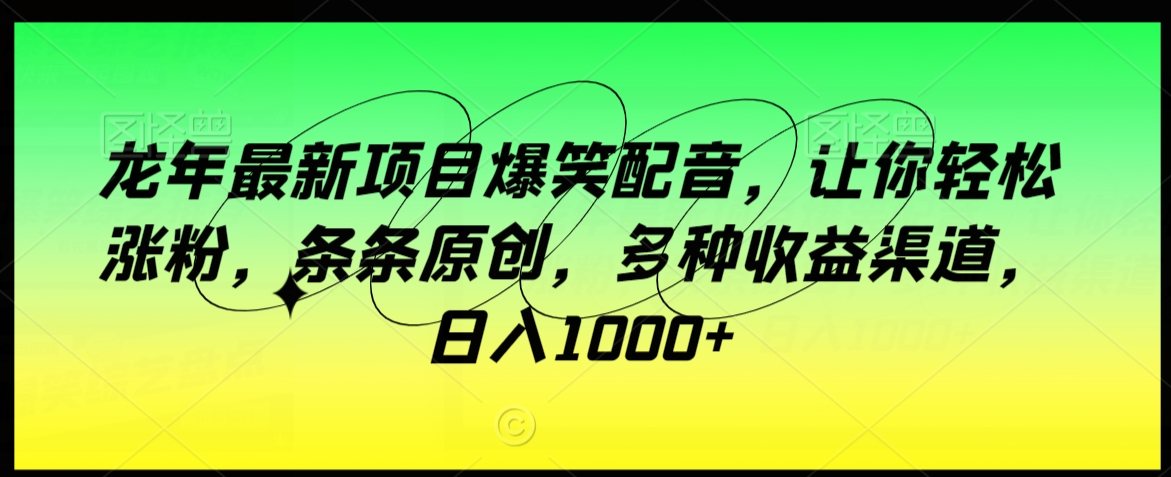 龙年最新项目爆笑配音，让你轻松涨粉，条条原创，多种收益渠道，日入1000+【揭秘】-创业资源库