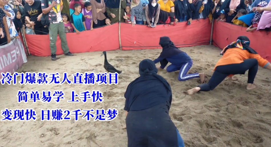 冷门爆款无人直播项目，简单易学上手快，变现快日赚2千不是梦【揭秘】-创业资源库