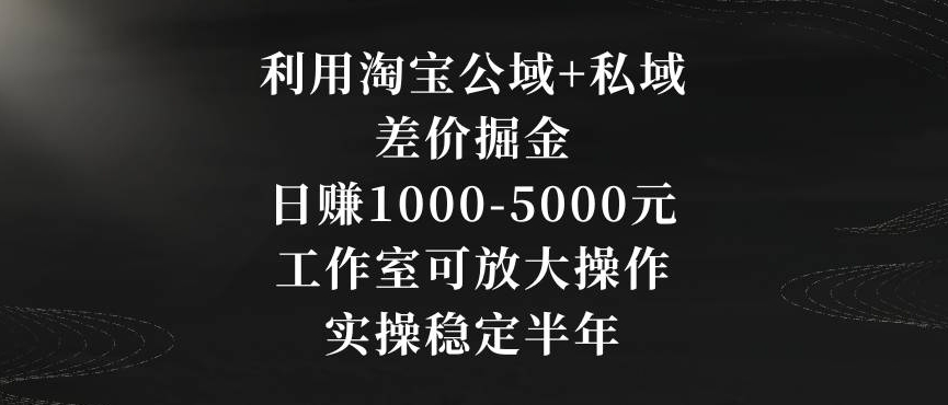 利用淘宝公域+私域差价掘金，日赚1000-5000元，工作室可放大操作，实操稳定半年【揭秘】-创业资源库