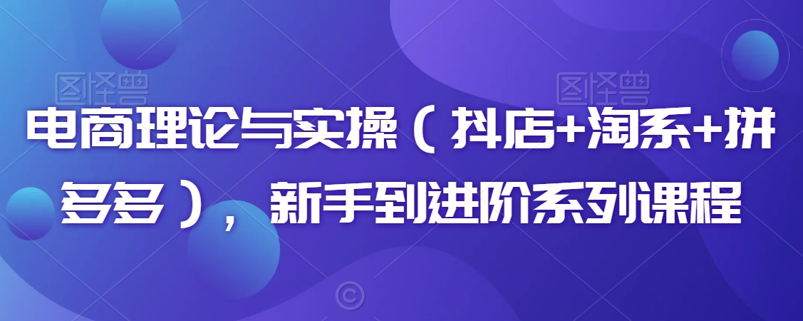 电商理论与实操（抖店+淘系+拼多多），新手到进阶系列课程-创业资源库