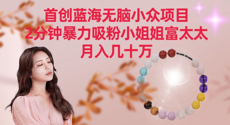 首创蓝海无脑小众项目，2分钟暴力吸粉小姐姐富太太，月入几十万【揭秘】-创业资源库