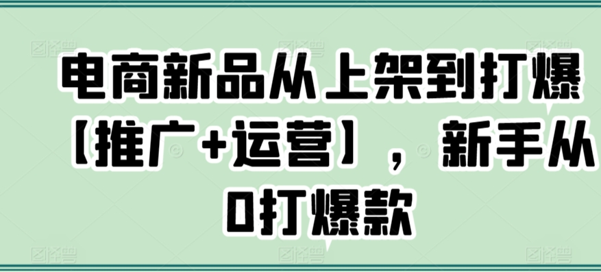 电商新品从上架到打爆【推广+运营】，新手从0打爆款-创业资源库
