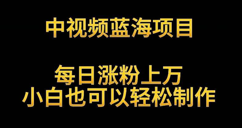 中视频蓝海项目，解读英雄人物生平，每日涨粉上万，小白也可以轻松制作，月入过万不是梦【揭秘】-创业资源库