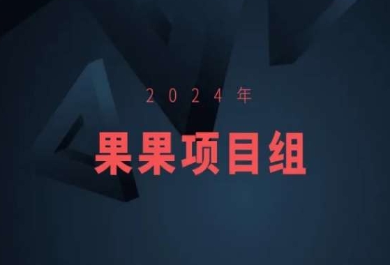 2024年果果项目组项目合集-果果最新项目-创业资源库