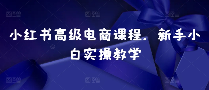 小红书高级电商课程，新手小白实操教学-创业资源库