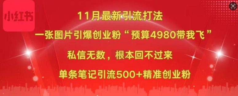 小红书11月最新图片打粉，一张图片引爆创业粉，“预算4980带我飞”，单条引流500+精准创业粉-创业资源库