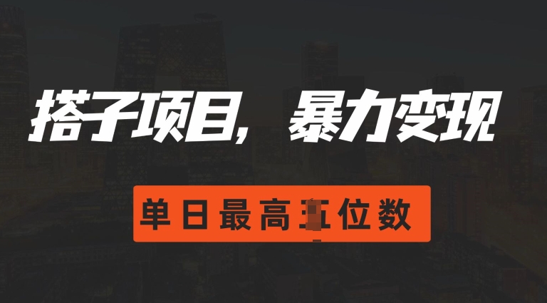 2024搭子玩法，0门槛，暴力变现，单日最高破四位数【揭秘】-创业资源库