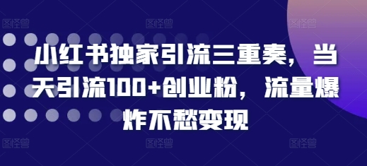 小红书独家引流三重奏，当天引流100+创业粉，流量爆炸不愁变现【揭秘】-创业资源库