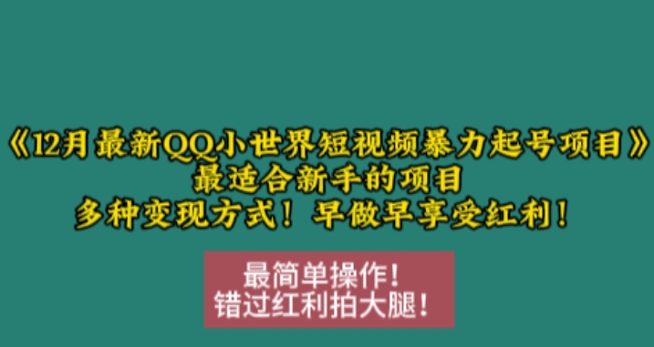 12月最新QQ小世界短视频暴力起号项目，最适合新手的项目，多种变现方式-创业资源库