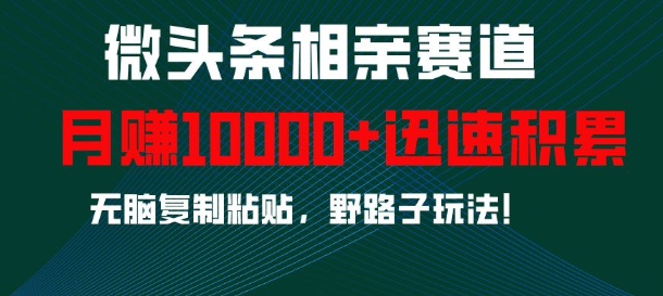 微头条相亲赛道，迅速积累，无脑复制粘贴，野路子玩法，月入1w-创业资源库