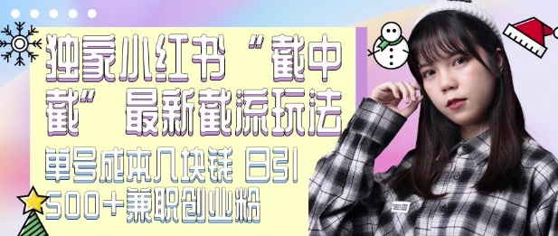 最新小红书截流玩法 独家截中截 单号成本几块钱 日引500+CY粉JZ粉-创业资源库