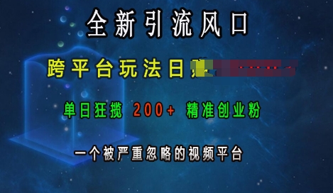 全新引流风口，跨平台玩法日入上k，单日狂揽200+精准创业粉，一个被严重忽略的视频平台-创业资源库